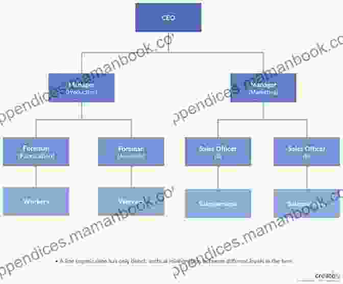A Diagram Showing A Company's Corporate Structure The Corporate Credit Build Up Check List Book: 25 Things You Can Do To Get Your Corporation Ready For Funding Corporate Credit Business Loans And Corporate Credit Cards