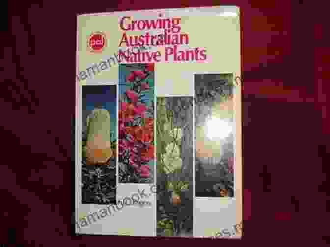 Alan Sonfist, Corings 1971 2024, Planting Native Plants, 1971 Alan Sonfist: Corings 1971 2024 Bill Meeks