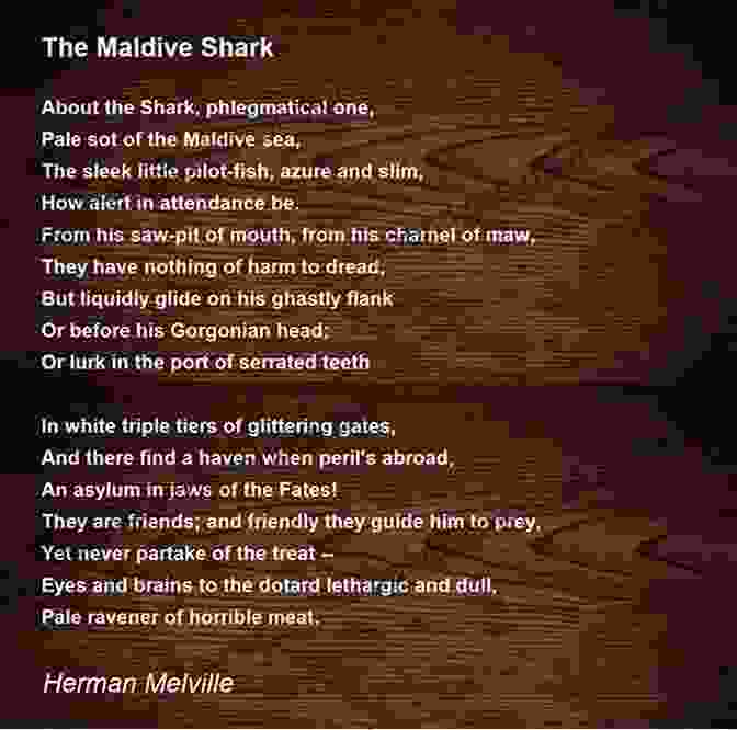 Maldive Shark Lifesaving Poems Herman Melville
