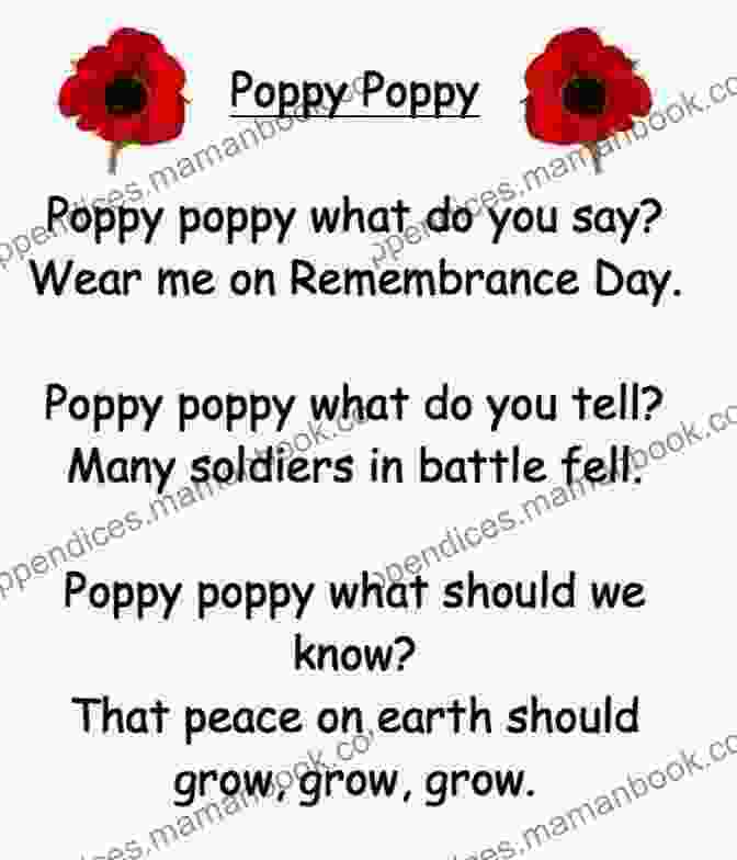 Poppy Talks To A Group Of Villagers, Sharing Stories Of The War And The Sacrifices That Were Made. Poppy Lane (short Story) (Great War Centennial)