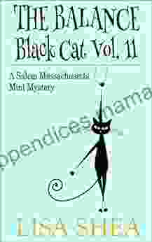 The Balance Black Cat Vol 11 A Salem Massachusetts Mini Mystery