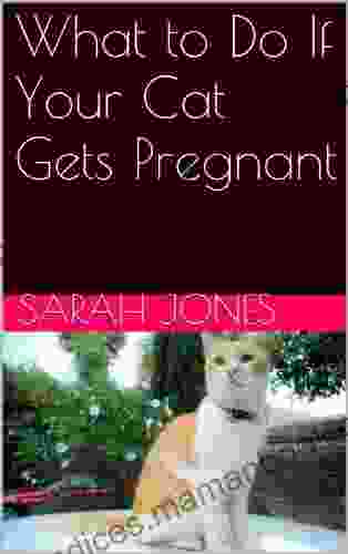 What To Do If Your Cat Gets Pregnant